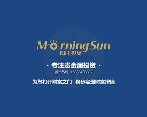 投資咨詢(xún)品牌形象VI設(shè)計(jì)